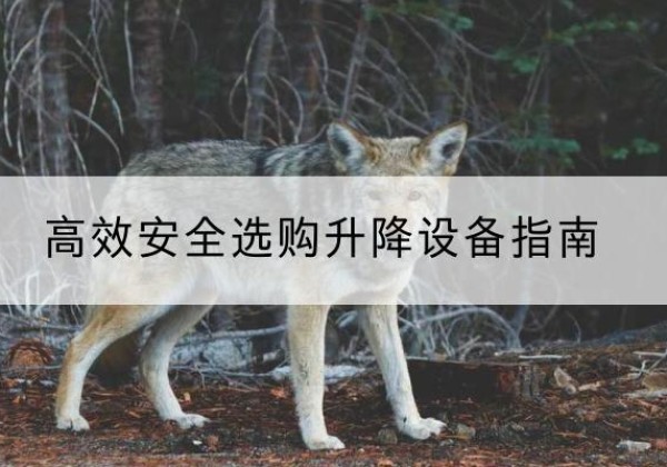 锡林浩特升降货梯厂家推荐-*安全选购升降设备指南
