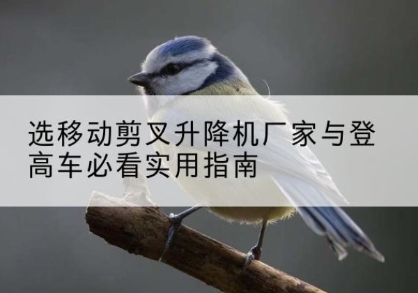 锡林浩特电动升降机厂家-选移动剪叉升降机厂家与登高车必看实用指南